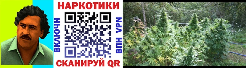 Что такое Заозёрный ГАШИШ  Галлюциногенные грибы  МЕФ  Метамфетамин  Каннабис 