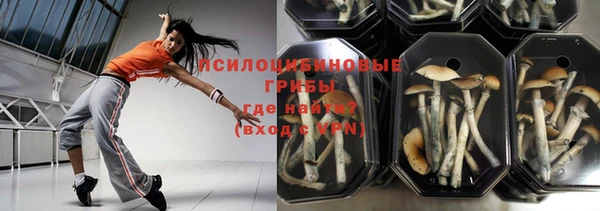 ПСИЛОЦИБИНОВЫЕ ГРИБЫ Алзамай