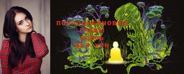 марки lsd Алексеевка